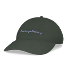 Heyday Logo Cypress Cap – right angle view