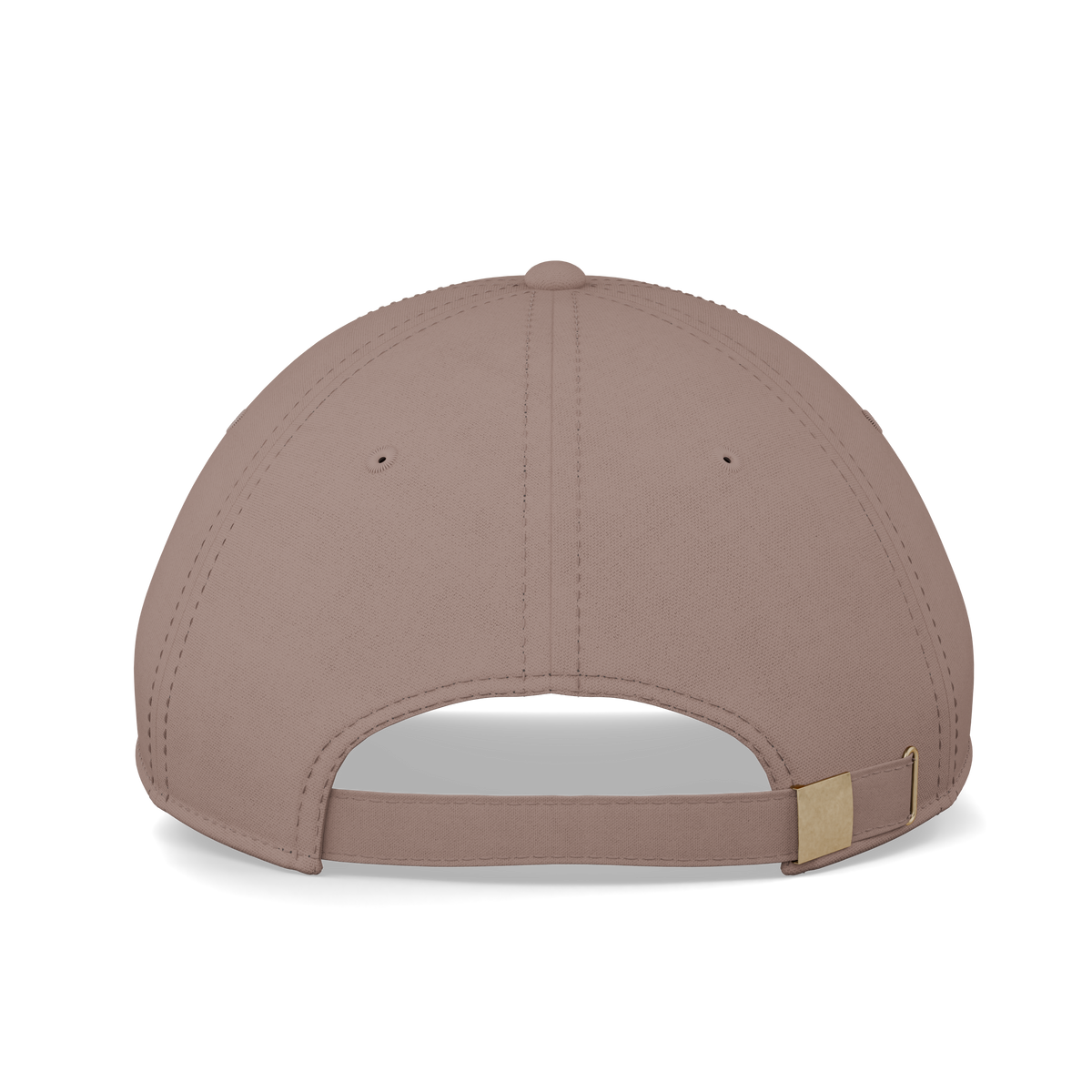 Heyday Logo Hazy Pink Cap – rear view