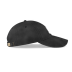 Grand Theft Heyday Cap