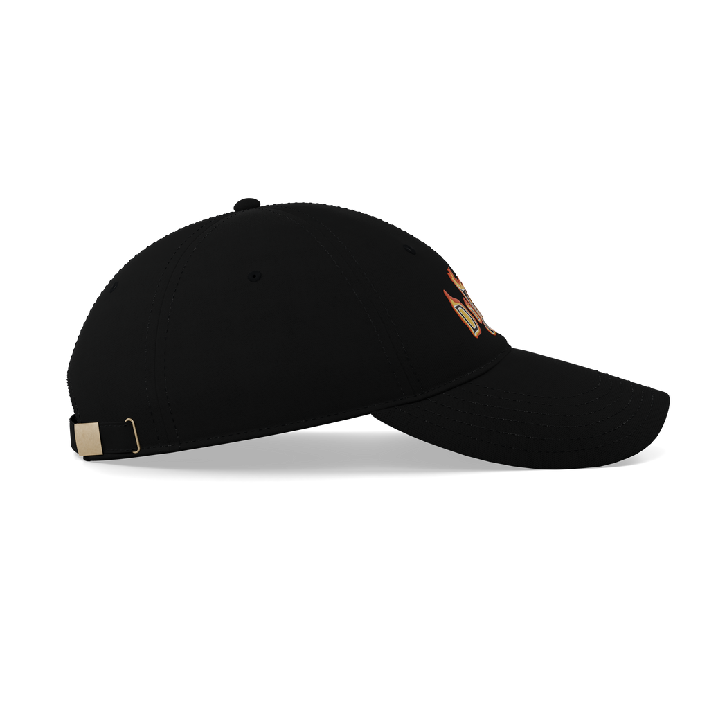 Diablo II Cap