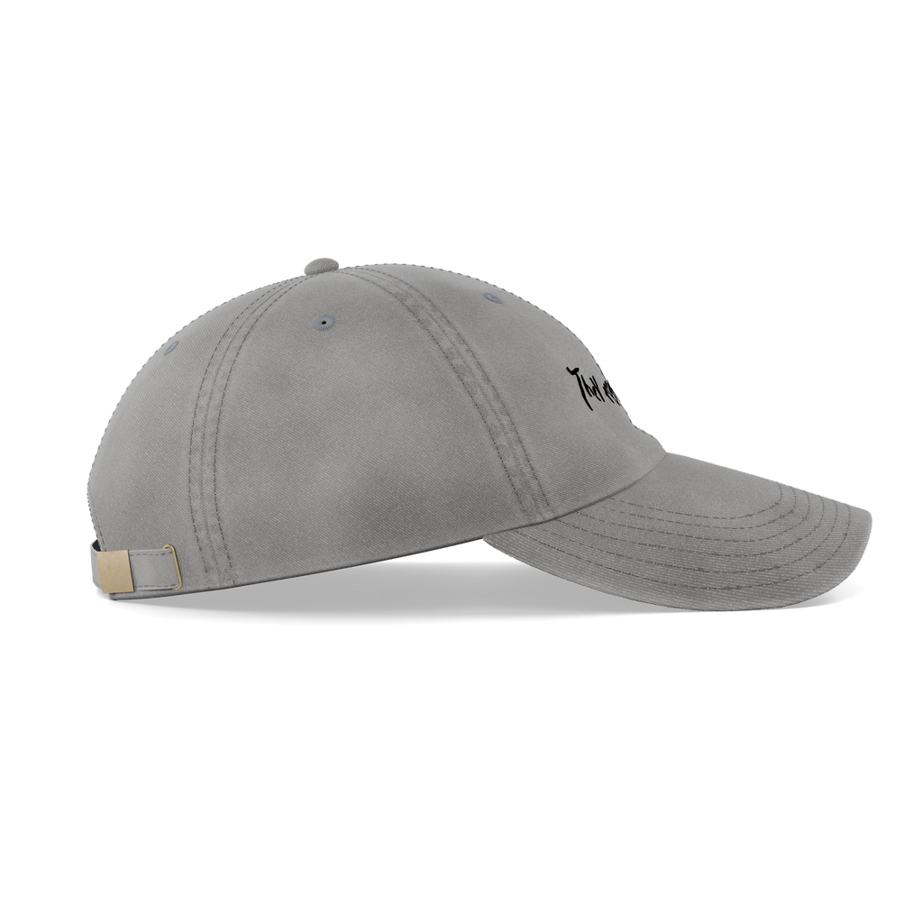 Donnie Darko – "They Made Me Do It" Cap – left side view