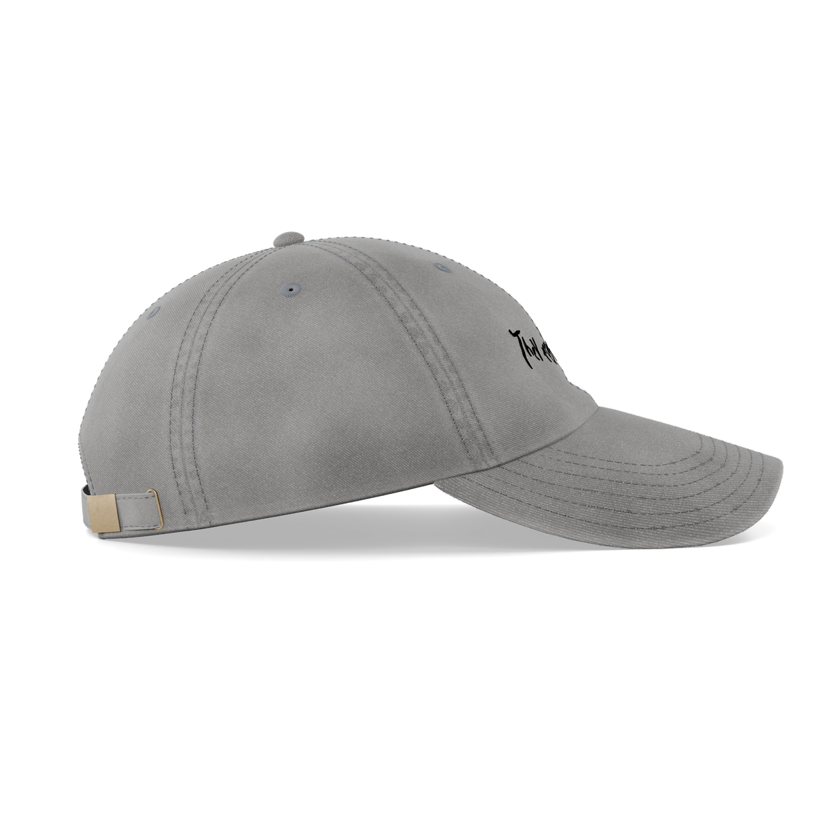 Donnie Darko – "They Made Me Do It" Cap – left side view